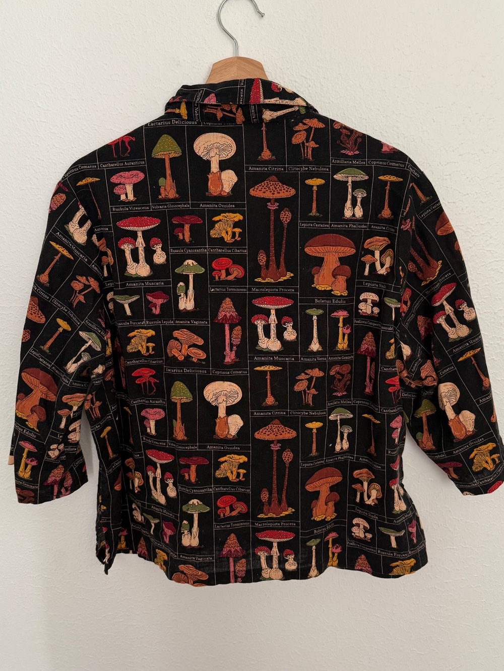 DANGERFIELD Fungus Cottagecore Blouse - Picture 5 of 10
